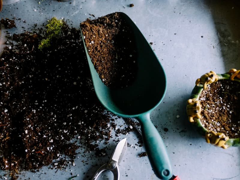 Sandstone patio with natural stone steps